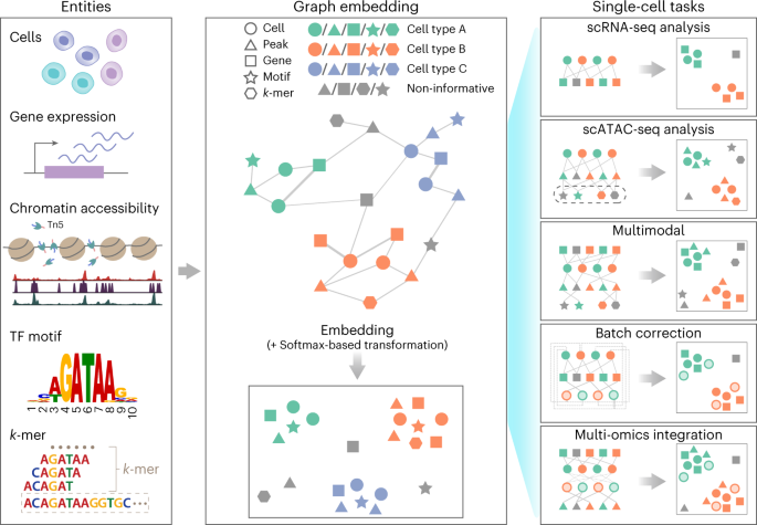 Fig. 1: SIMBA framework overview.