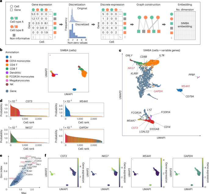 Fig. 2: Single-cell RNA-seq analysis of the 10x Genomics PBMCs dataset using SIMBA.