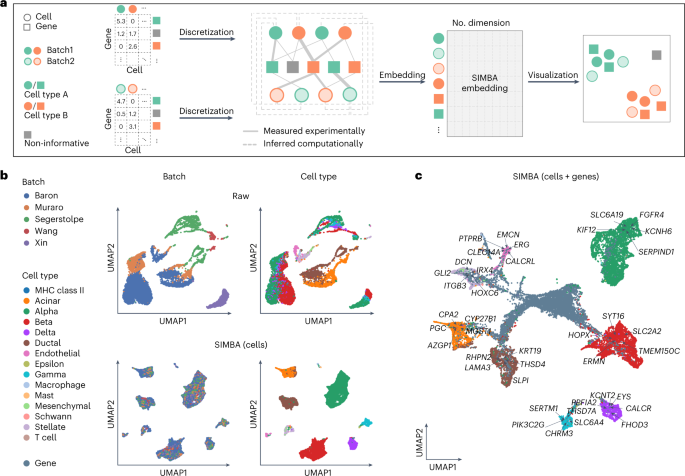 Fig. 5: Batch correction analysis of scRNA-seq data using SIMBA.