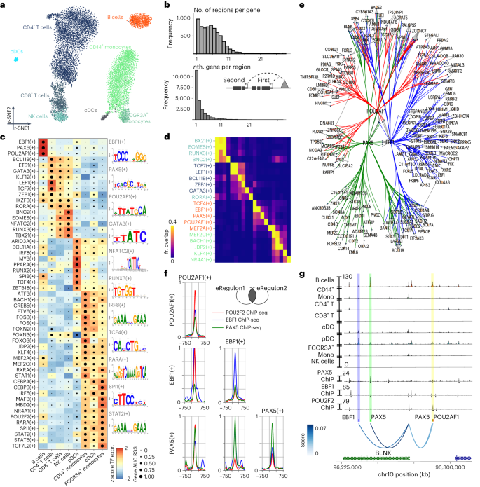 SCENIC+: single-cell multiomic inference of enhancers and gene regulatory  networks | Nature Methods