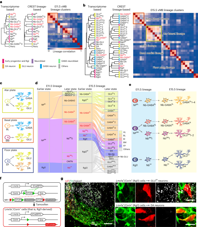 PP12 Final - asdasd - SCALABLE AND EFFICIENT BIOMARKER VISUALISATION  TECHNIQUES FOR EARLY-PHASE - Studocu