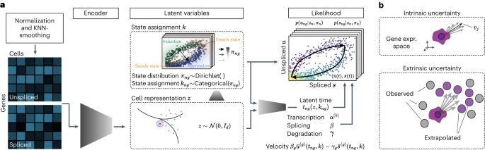 Fig. 1: Overview of the veloVI model.