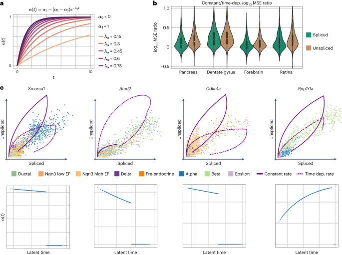 Fig. 5: Extension to modeling time-dependent transcription rates.