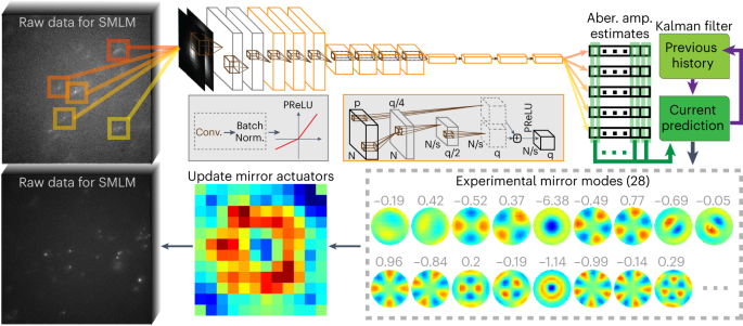 Fig. 1: Deep learning-driven adaptive optics for single-molecule localization microscopy.