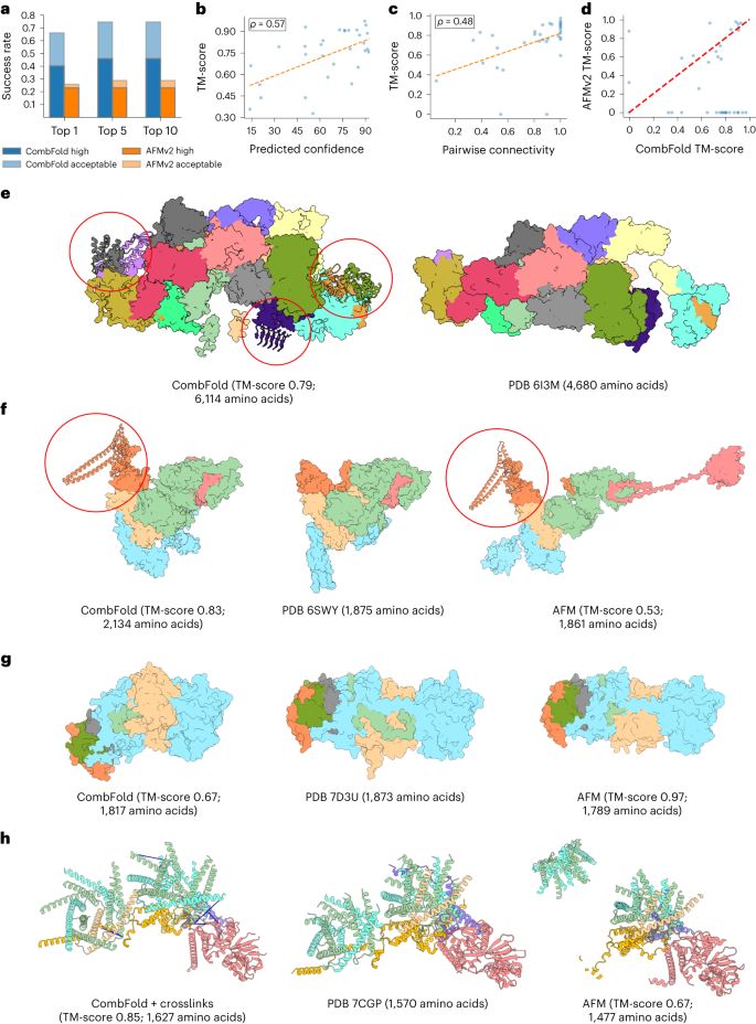 Fig. 2: Accuracy of CombFold on Benchmark 1.
