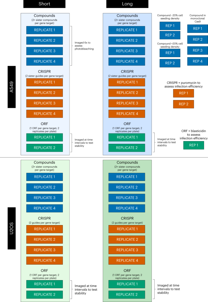 Fig. 3: Schema of the data generated in the CPJUMP1 experiment.