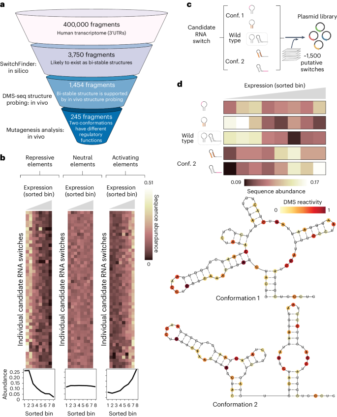 research on dna structure figure 2