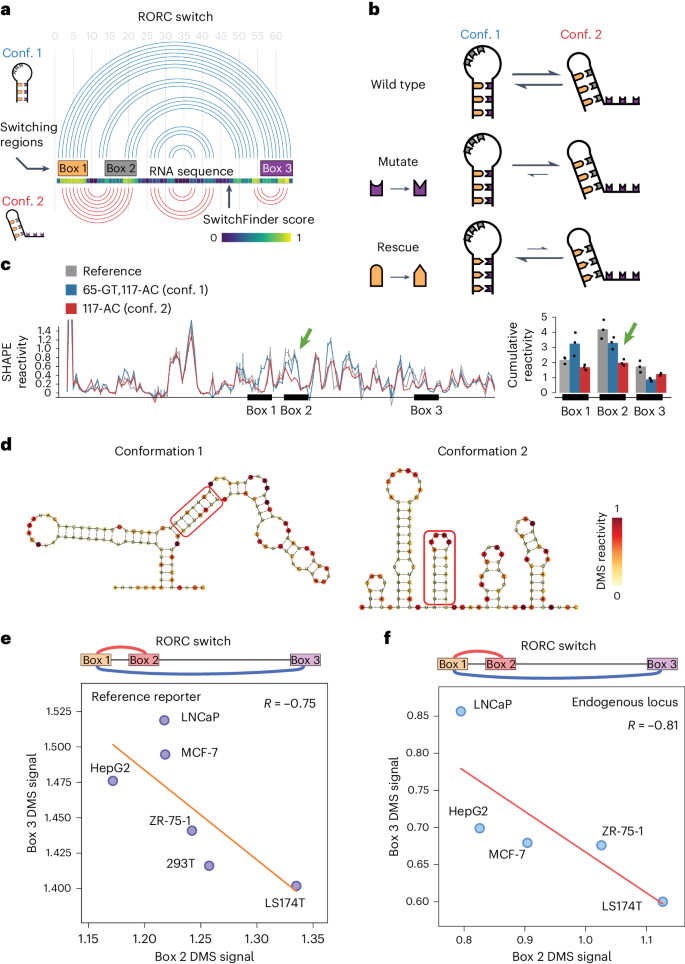 research on dna structure figure 3