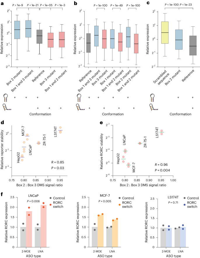 research on dna structure figure 5