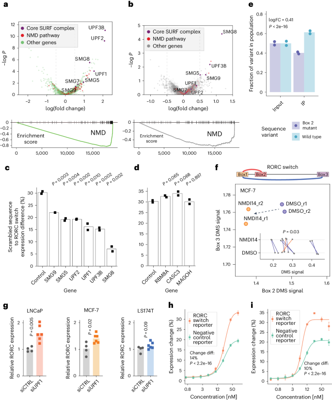 research on dna structure figure 6