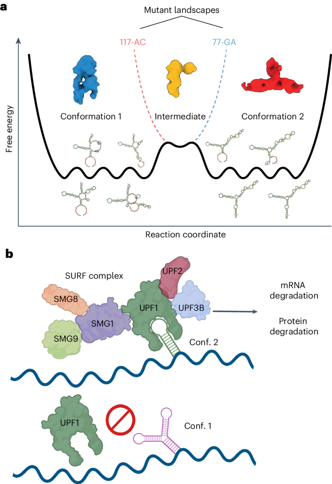 research on dna structure figure 7