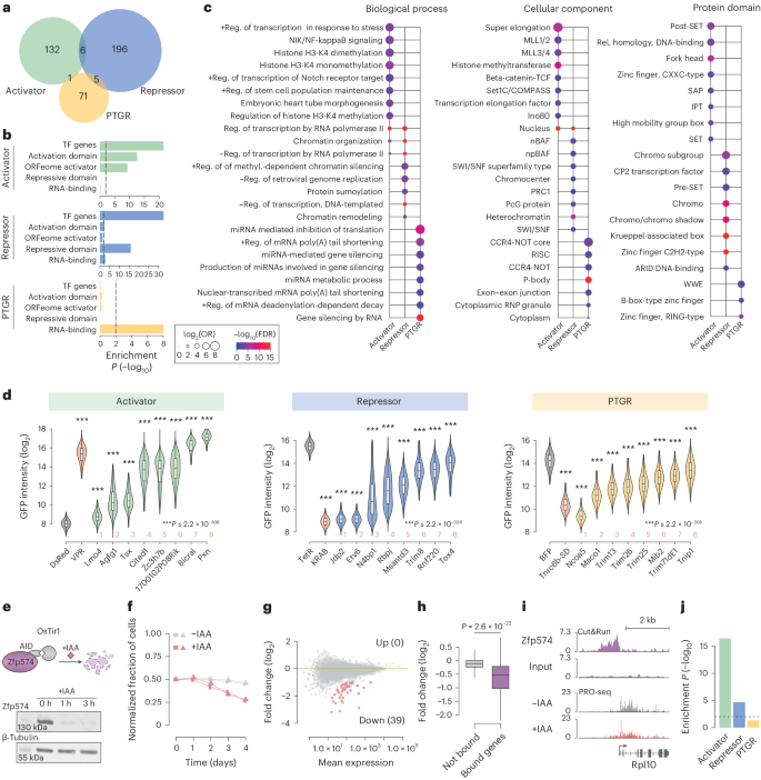 Fig. 2: ORFtag interrogates protein function with high specificity.
