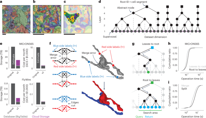Fig. 2: Scaling the ChunkedGraph to petascale datasets.