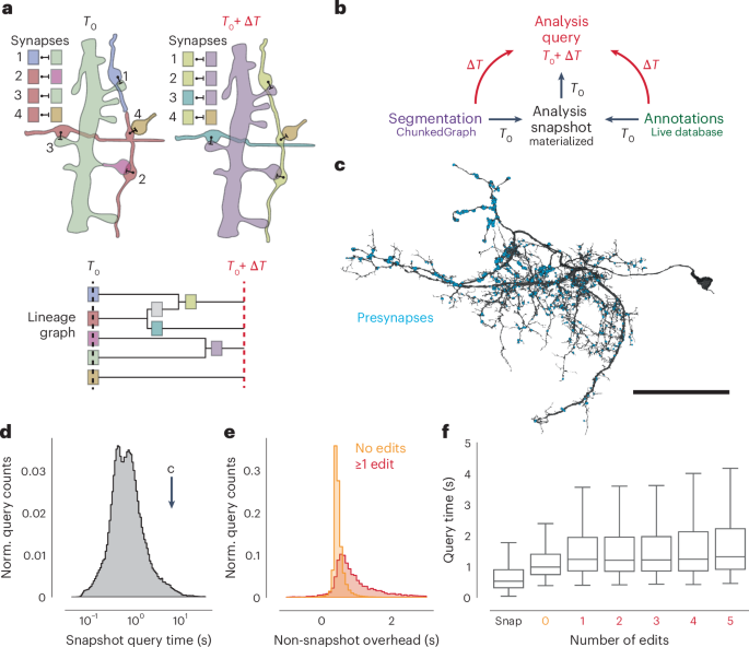 Fig. 5: Querying the dataset for any time point.