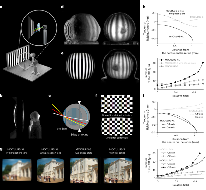 Fig. 2: Validation of the optical design of Moculus using an enucleated albino mouse eye.