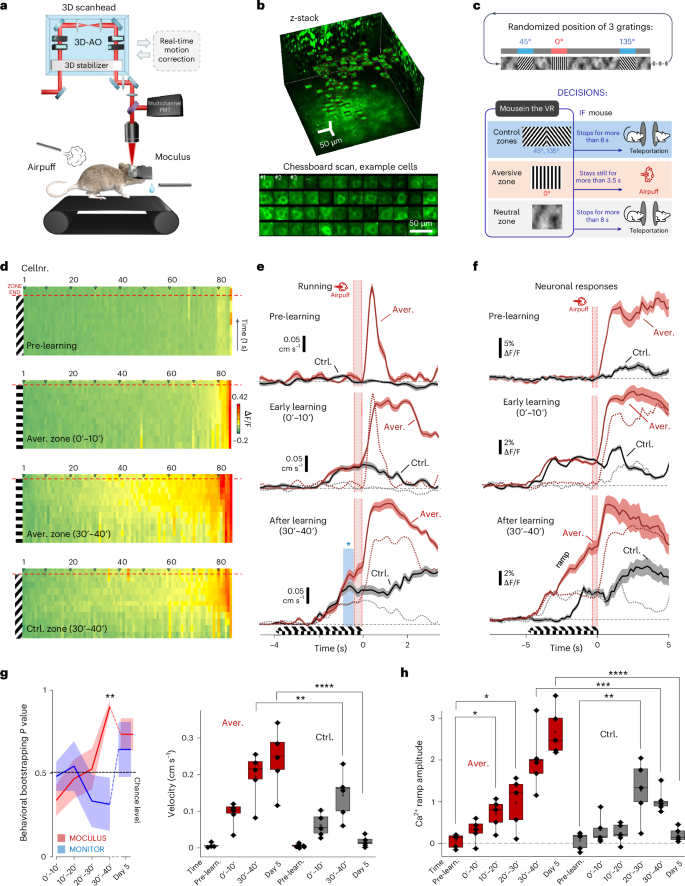Fig. 3: Fast visual learning with Moculus related to population level neuronal response.