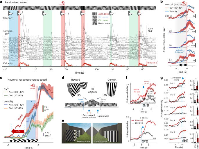 Fig. 4: Fast visual learning with Moculus in 3D virtual corridors.