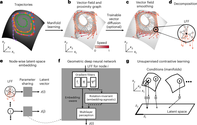 MARBLE: interpretable representations of neural population dynamics using geometric deep learning