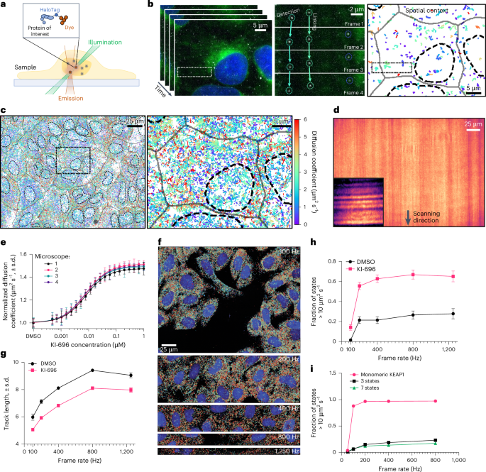Fig. 1: OLS provides near full-field homogeneous illumination enabling SMT.