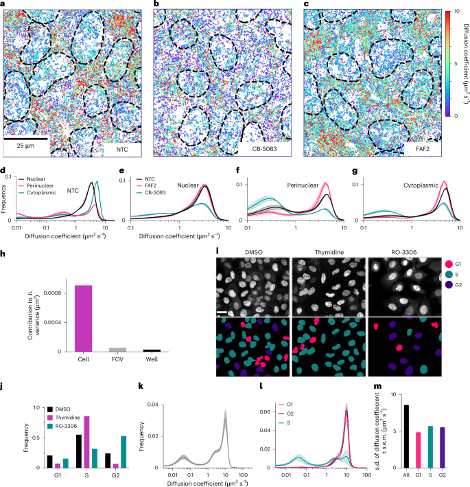 Fig. 2: OLS can be applied to capture the intracellular and intercellular heterogeneity of single-protein dynamics.