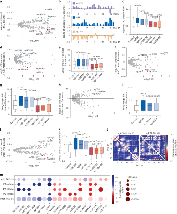 Fig. 2: Perturb-tracing screen identified regulators of multi-scale chromatin folding.
