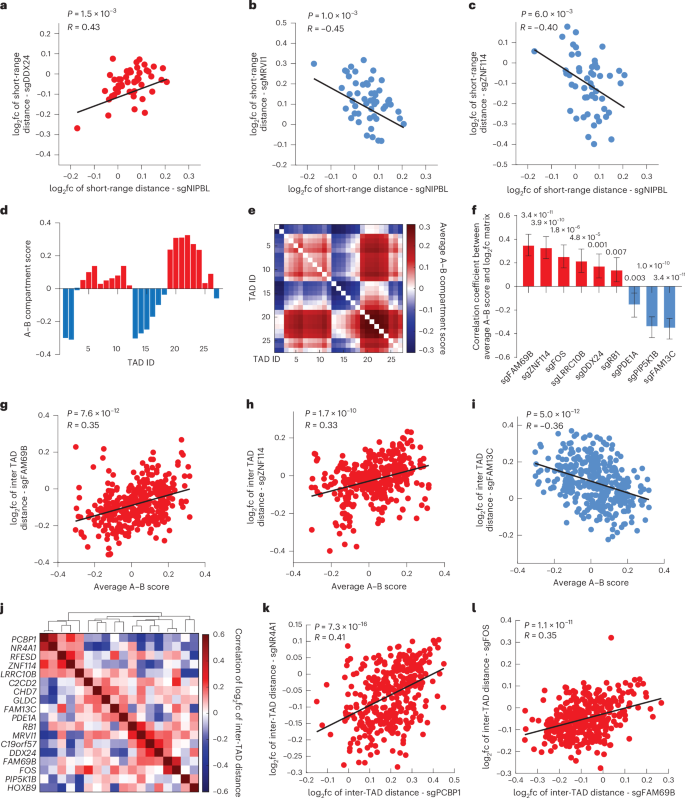 Fig. 3: Characterization of the regulators of multi-scale chromatin folding.
