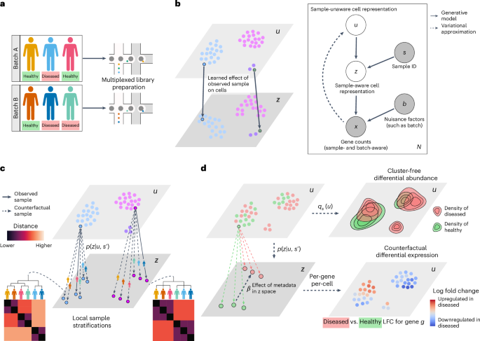 Fig. 1: Overview of MrVI.