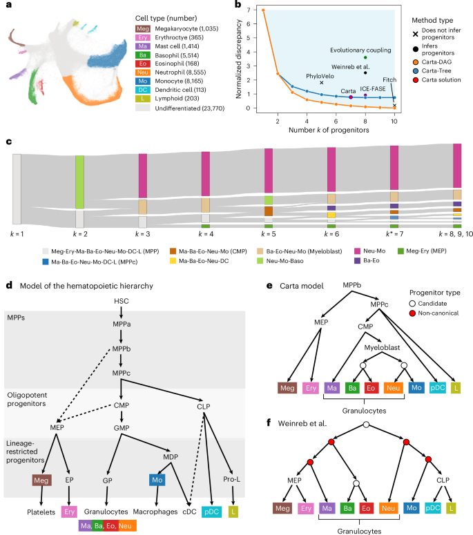 Fig. 4: Carta recapitulates canonical model of mouse hematopoiesis from lentiviral barcoding-based lineage tracing data.