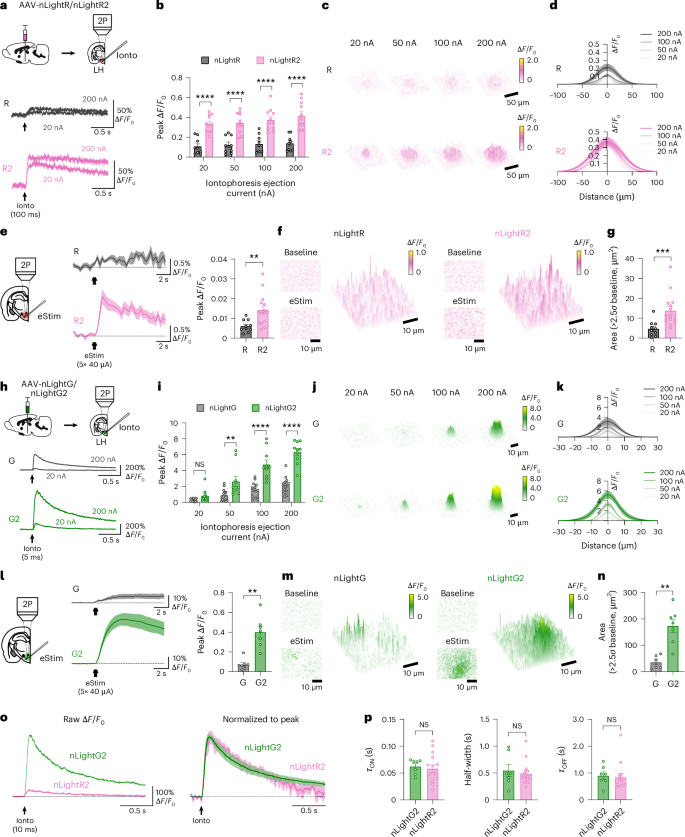 Fig. 2: Benchmarking NE indicators ex vivo with two-photon microscopy.