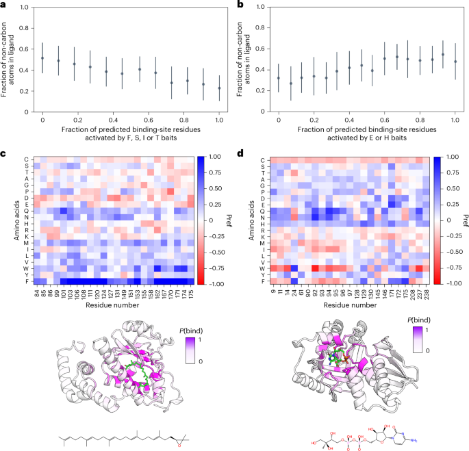Fig. 5: Activations of bait amino acids (and their combinations) are correlated with ligand hydrophobicity.