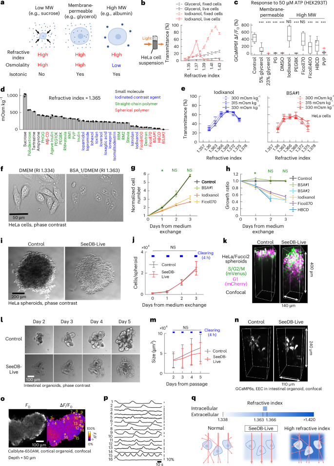 Fig. 1: Screening for nontoxic optical clearing agents for imaging live mammalian cells and tissues.