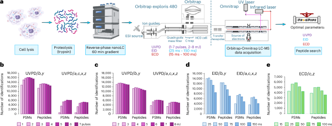Fig. 1: Optimization of ECD, EID, and UVPD parameters in bottom-up experiments.