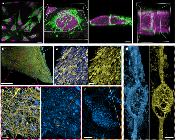 Fig. 3: Volumetric imaging with nanoscale resolution.