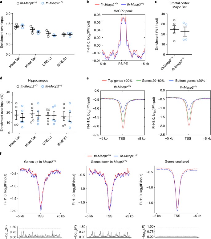 Genome-wide distribution of linker histone H1.0 is independent of MeCP2