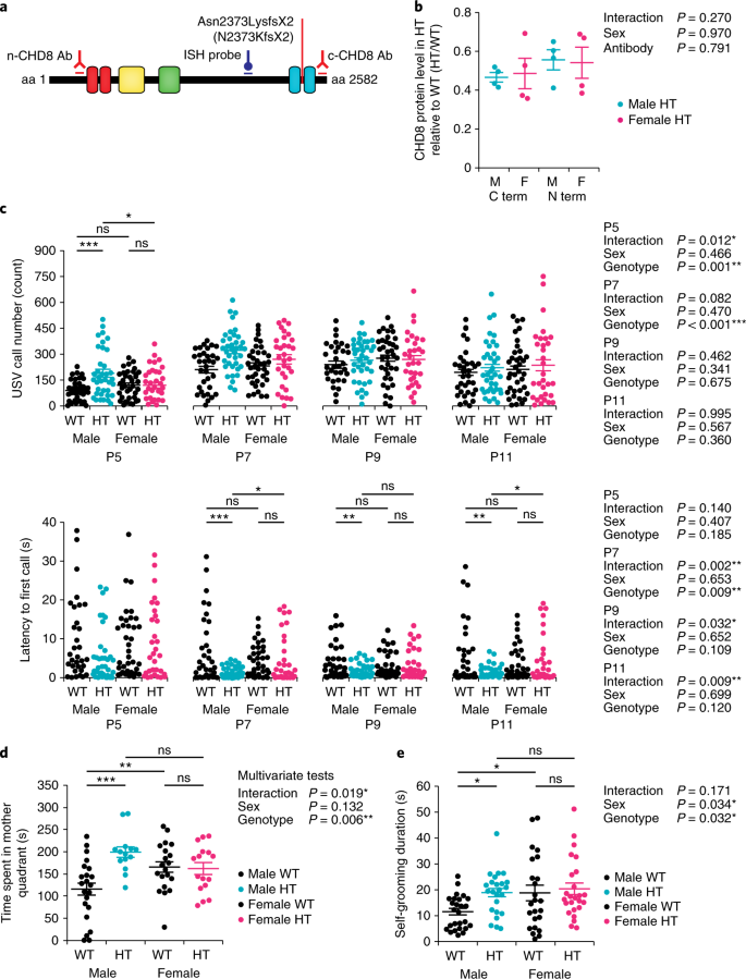 Ually Dimorphic Behavior Neuronal Activity And Gene