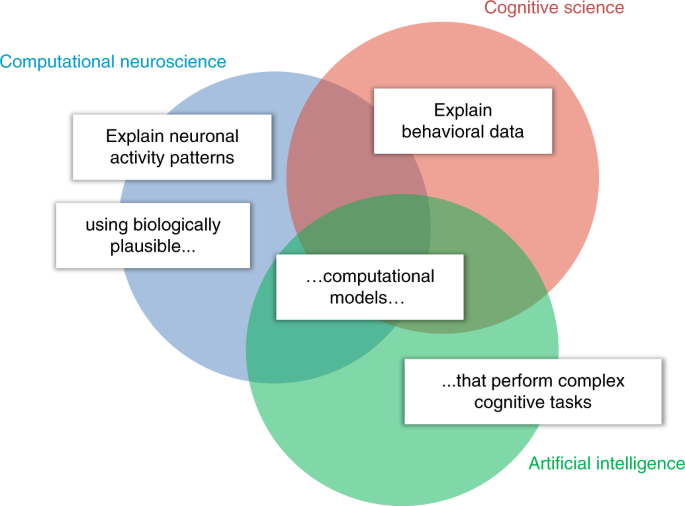 Cognitive computational neuroscience | Nature Neuroscience