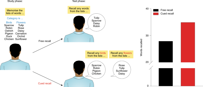 The Neurobiological Foundation Of Memory Retrieval Nature Neuroscience memory retrieval