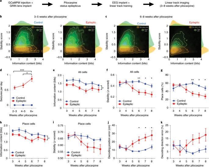 Breakdown of spatial coding and interneuron synchronization in epileptic  mice | Nature Neuroscience
