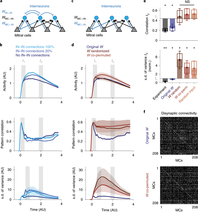 Whitening Of Odor Representations By The Wiring Diagram Of The Olfactory Bulb Nature Neuroscience
