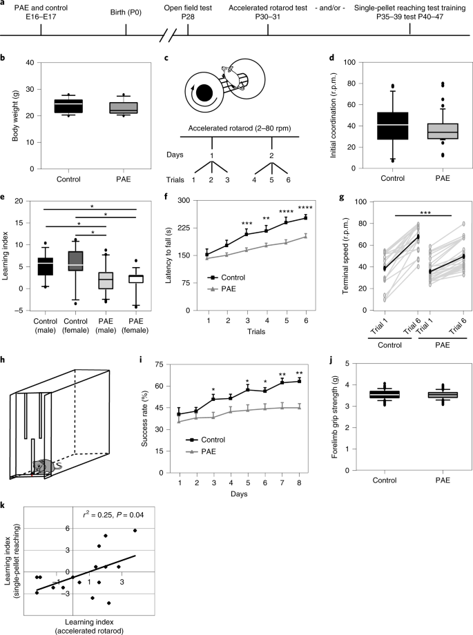 Kcnn2 Blockade Reverses Learning Deficits In A Mouse Model Of Fetal Alcohol Spectrum Disorders Nature Neuroscience Kcnn2 Blockade Reverses Learning Deficits In A Mouse Model Of Fetal Alcohol Spectrum Disorders Nature Neuroscience