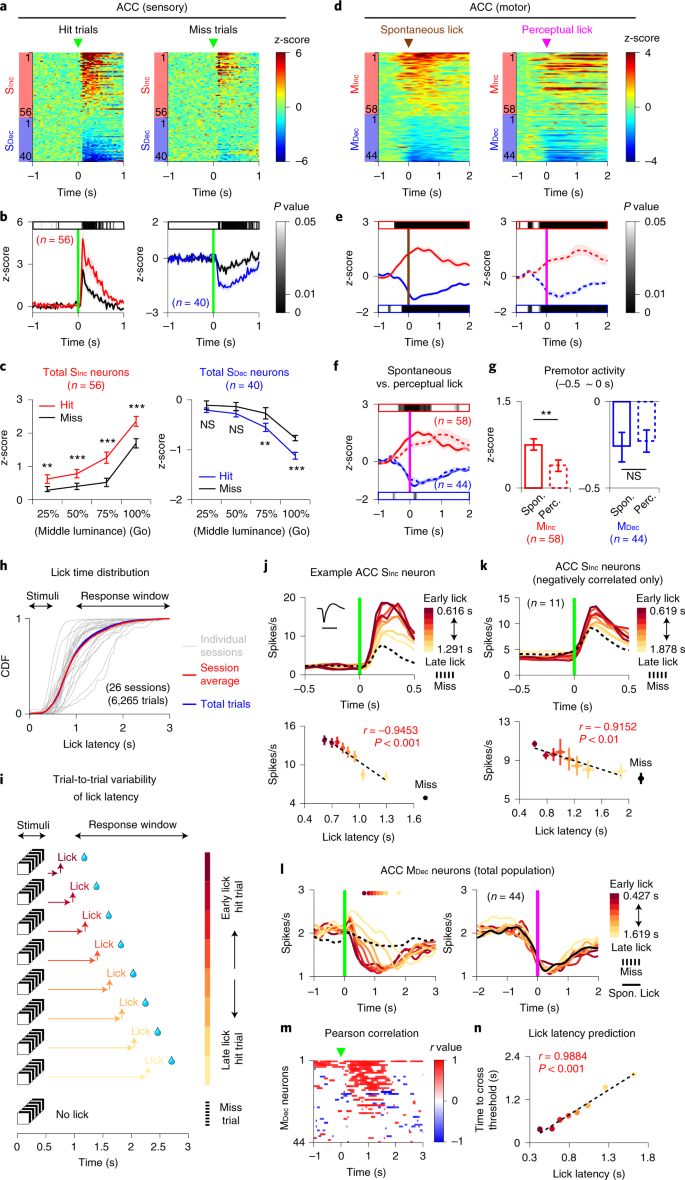 Gated feedforward inhibition in the frontal cortex releases goal-directed  action | Nature Neuroscience