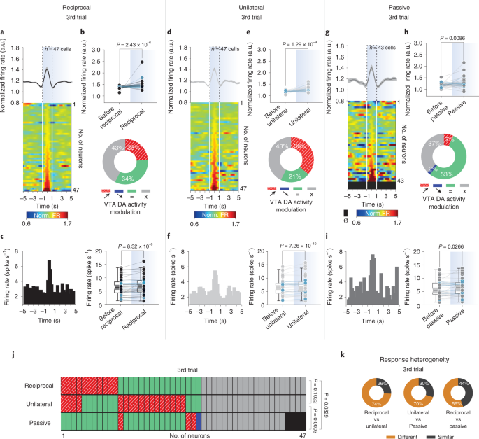 Vta Dopamine Neuron Activity Encodes Social Interaction And Promotes Reinforcement Learning Through Social Prediction Error Nature Neuroscience Vta Dopamine Neuron Activity Encodes Social Interaction And Promotes Reinforcement Learning Through Social Prediction Error Nature Neuroscience