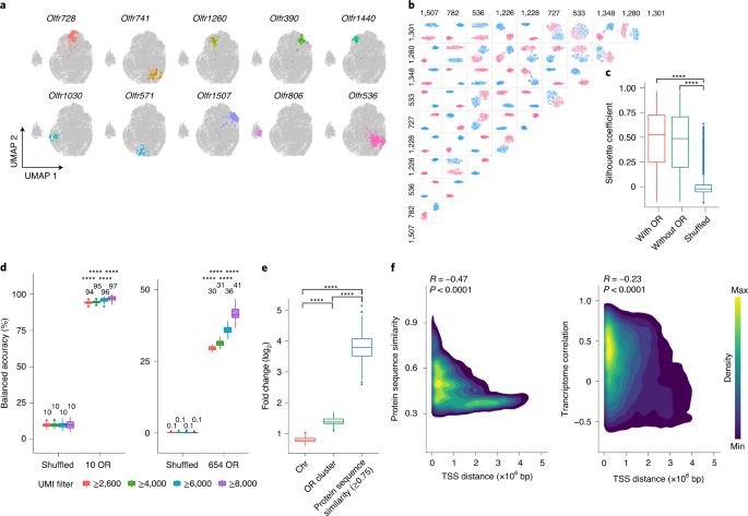 A 3D transcriptomics atlas of the mouse nose sheds light on the anatomical  logic of smell - ScienceDirect