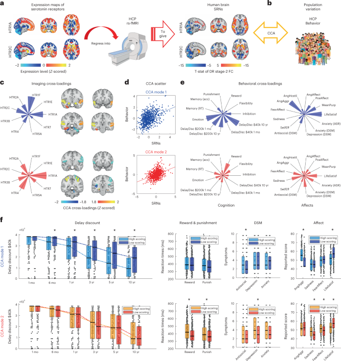 Fig. 4: Human mental processes are organized into independent modes of SRN modulation.