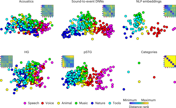 Fig. 2: Visualizing acoustic-to-semantic representations in computational models and in the brain.