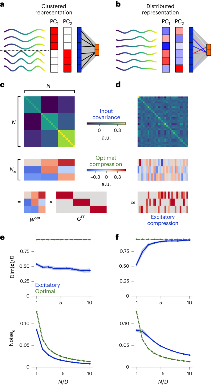 Verli by Laura Beverlin: My Honest Skincare Review, image size:685x1247