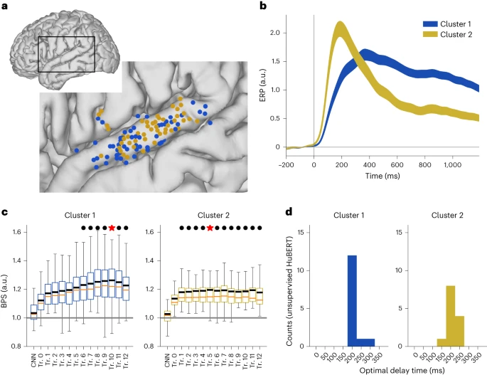 Fig. 3: Functional subpopulations in the STG correlate with different contextual representation layers in DNNs.