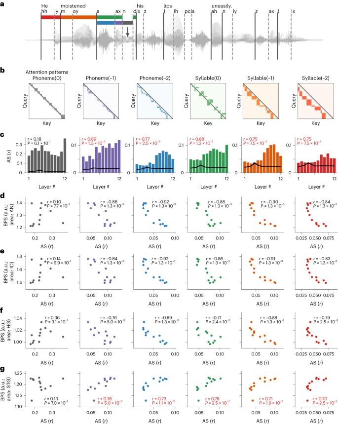 Fig. 4: Context-dependent computations explain brain correspondence across layers in the DNN.