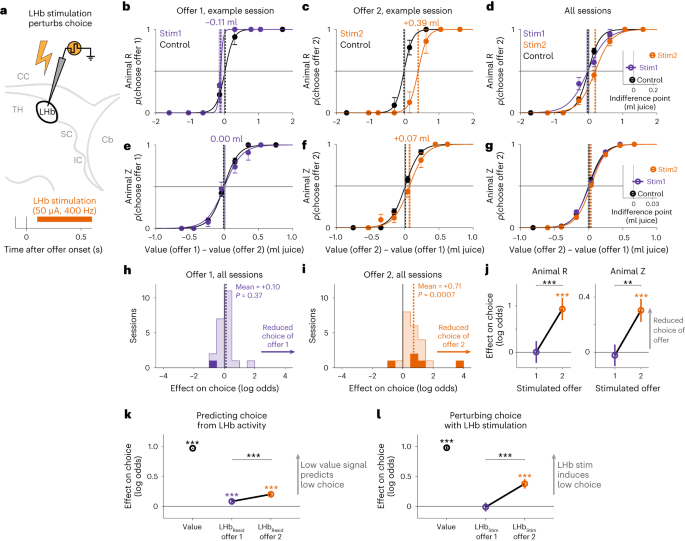 Fig. 8: LHb stimulation causally influences online multi-attribute decisions.