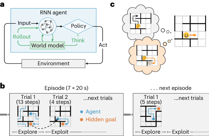 私たちが計画を立てるとき、脳では何が起こっているのか?(What’s Going On in Our Brains When We Plan?)